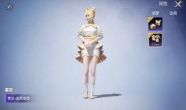 和平精英中转盘最新爆料最新,全新玩法即将上线，惊喜福利等你来拿！