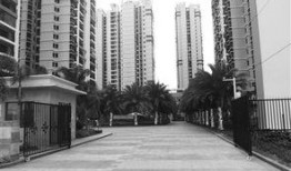 永秀花园爆料视频最新一期,揭秘小区内幕，真相令人震惊！